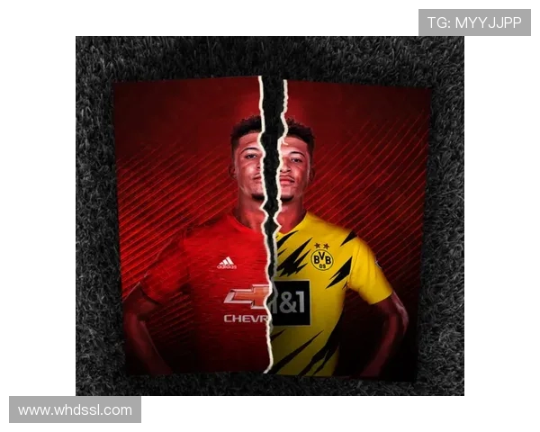 德天空曝多特夏窗瞄准图卢兹中卫查理克雷斯维尔补强后防引援计划