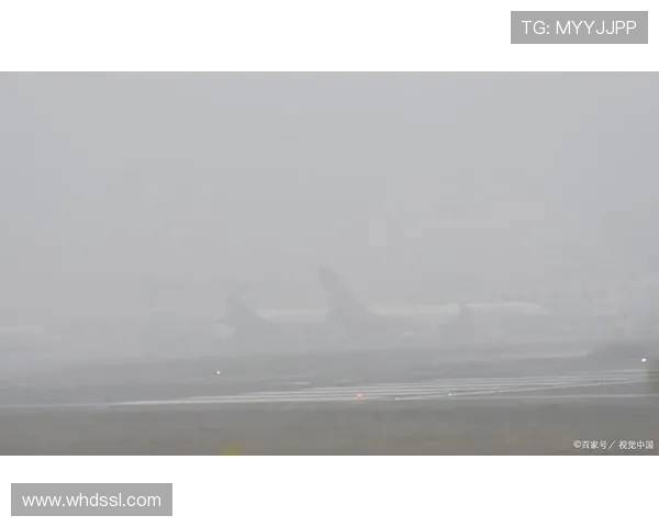 战斗机低能见度环境下的红外助降