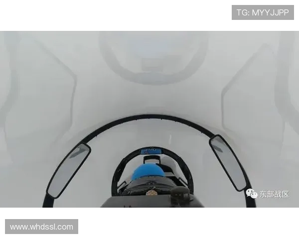 民用飞机在复杂气象条件下的进场程序