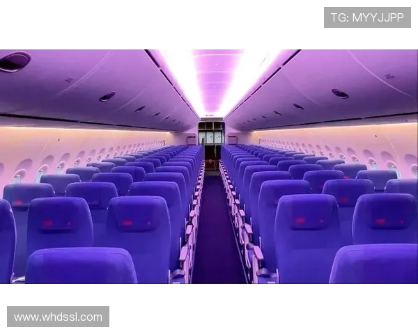 飞机客舱内部环境的温湿度仿真